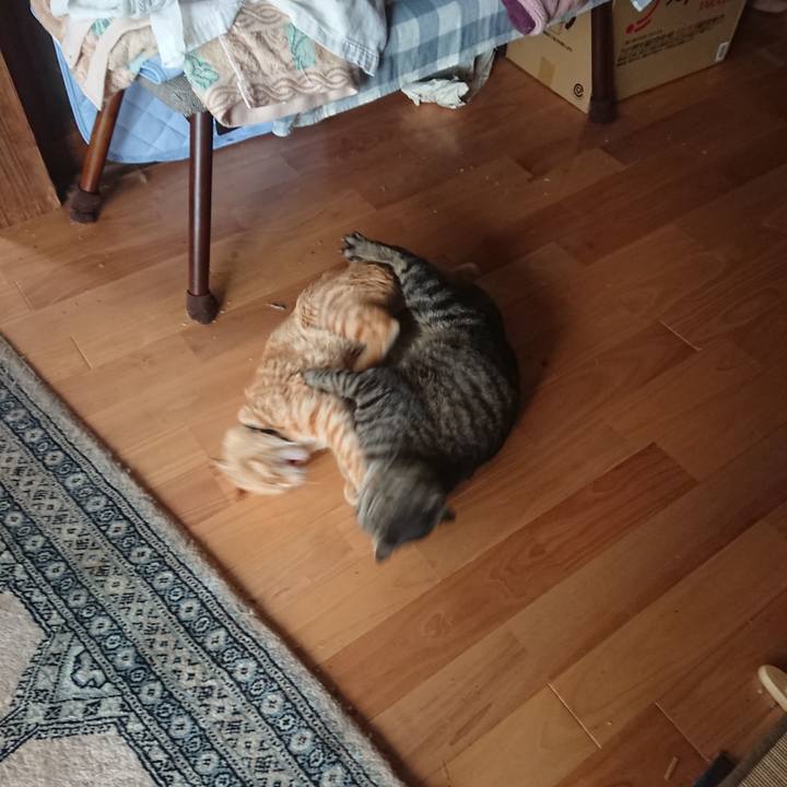 D66242c0 46e2 4cdf 8d0b fdb93b3c9e76 1650804517757