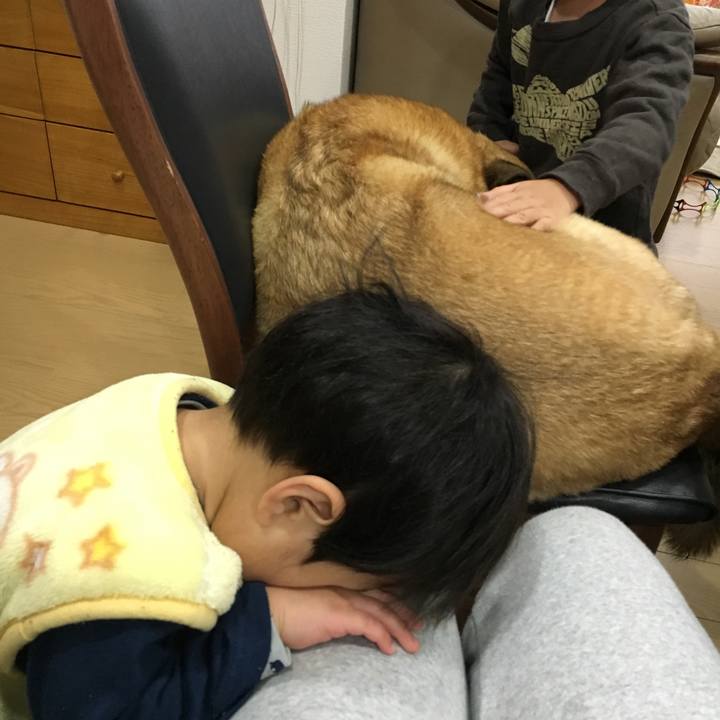 D6625da9 e83b 4452 b8e5 e71efa9237b6 1514683822156