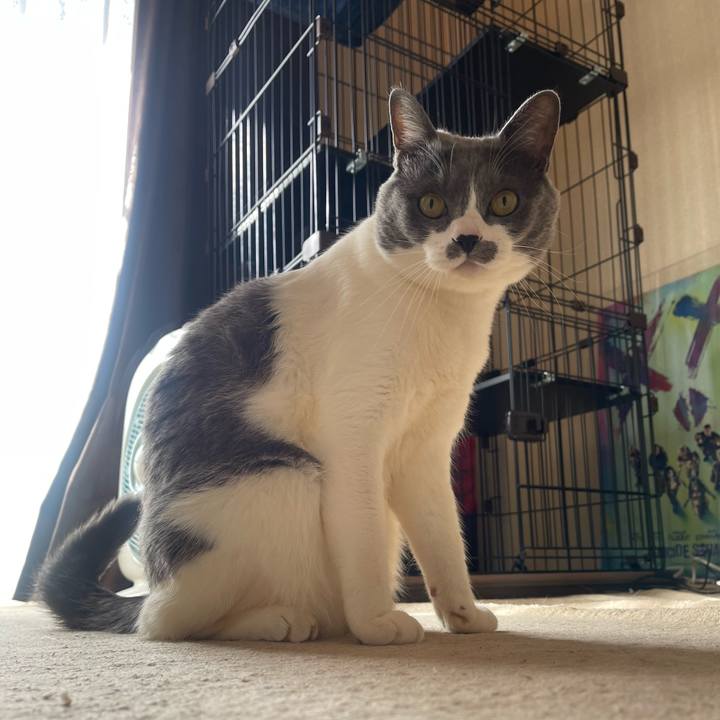 D66284ce 79f3 43ad 8bd3 fcd6108dd2f8 1708993046246