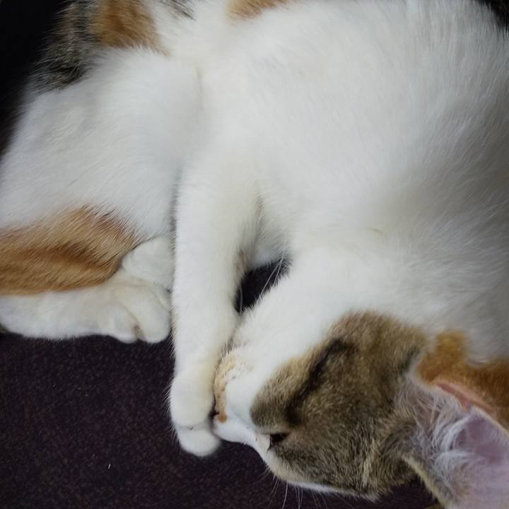 D662a6a1 8c9e 4e59 a684 f7191d3b7caa 1653119898756