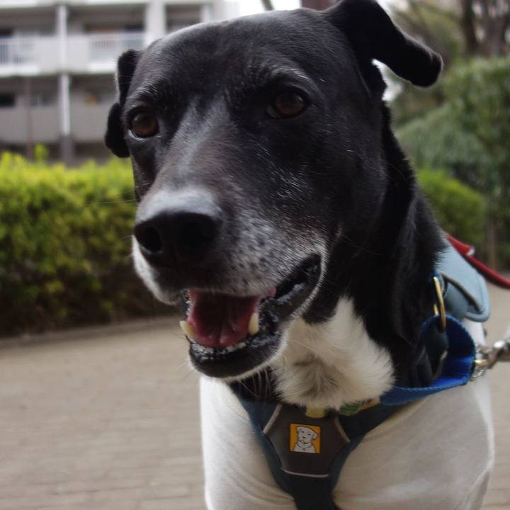 D662e9f3 ed2c 44d7 b6aa fc93c7e055f4 1708134021263