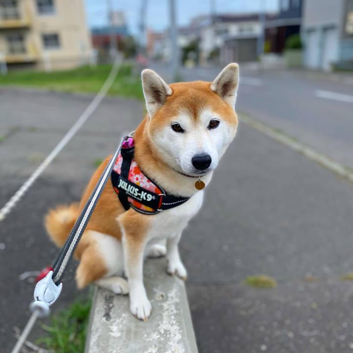 D66331ad c38b 4499 bd3f 1c21f8fd1cee 1633596709933