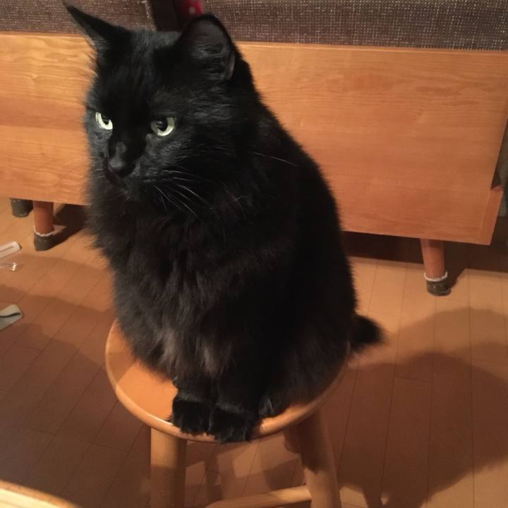 D66350e2 5fbd 49f9 8c56 604427afbbcc 1571928544302