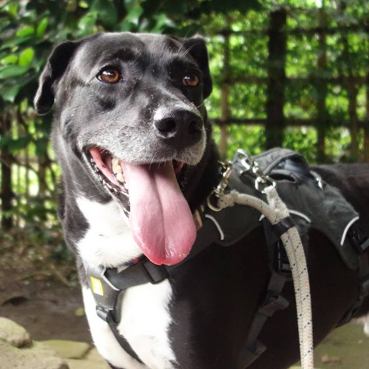 D6636af7 ee1f 4e45 adde a4413301b797 1655512982360