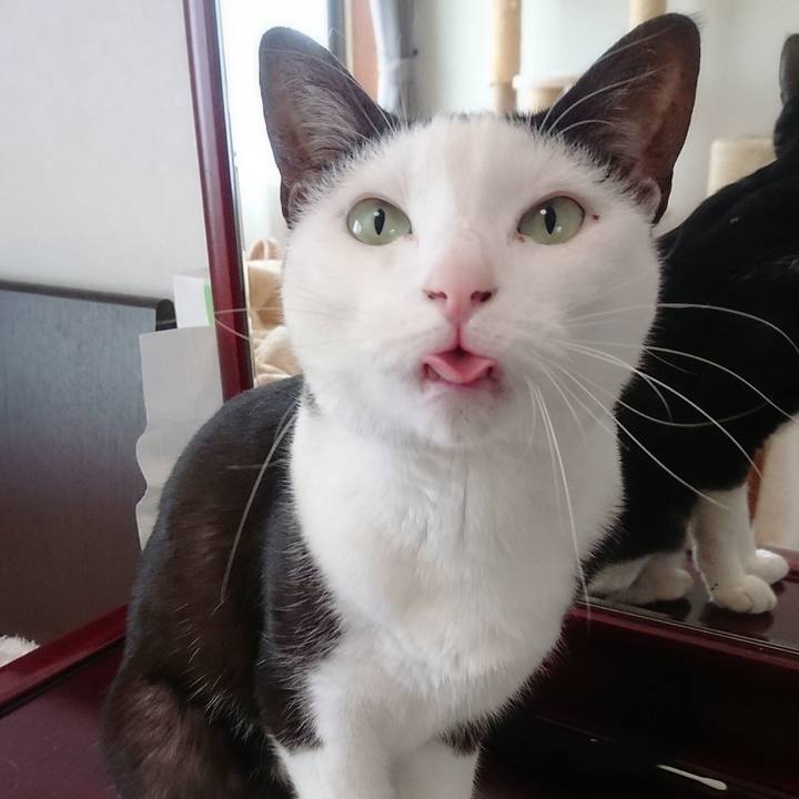 D6636e50 f723 4941 b2e2 b97d38601072 1558315761628