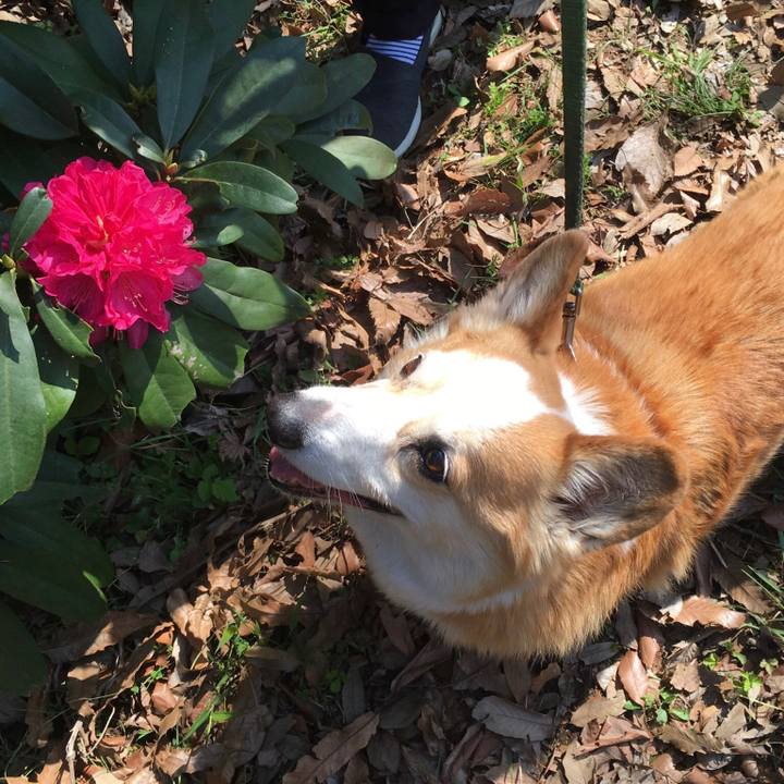 D663b1f5 9747 476b a7ad 5c4ddbd8487b 1616368924059