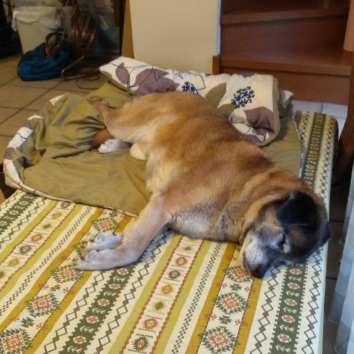 D663ca4f dc7d 4ba5 83e9 47d032faa69c 1562016382842