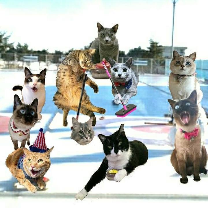 D663d829 c63b 4bc5 ba21 032ee6cdb69f 1525421094062