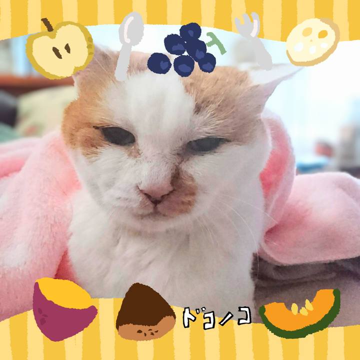 D663dc79 95cb 46e3 932f 6223120741b2 1726881745854