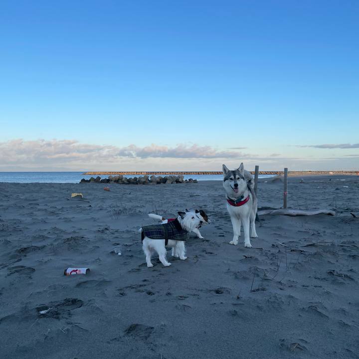 D663dcb8 0a78 4d20 bda6 8e375fe22ec8 1704411052024