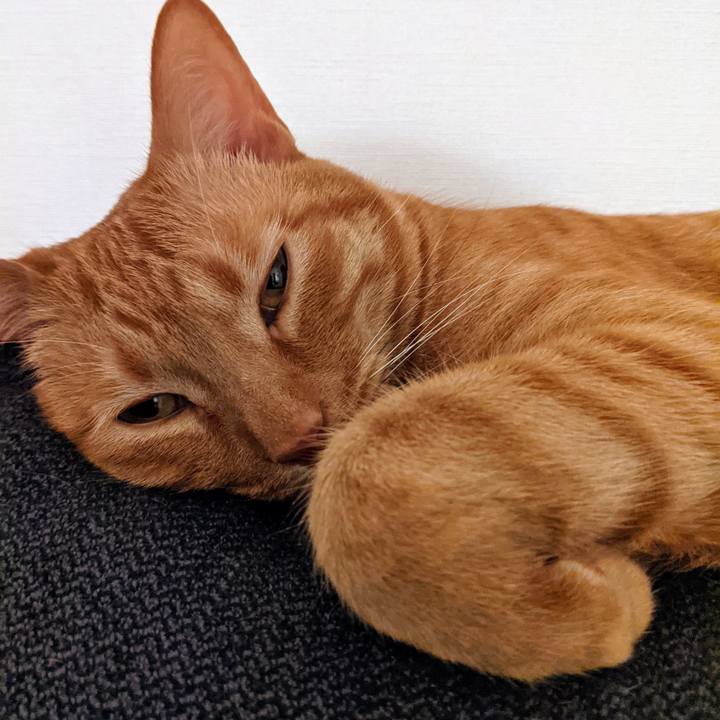 D66411f5 c783 4fd5 9d55 a07b685d1680 1618440382957