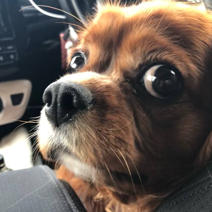 D6642551 ecce 42e1 9284 97a9c9792e05 1618624275979