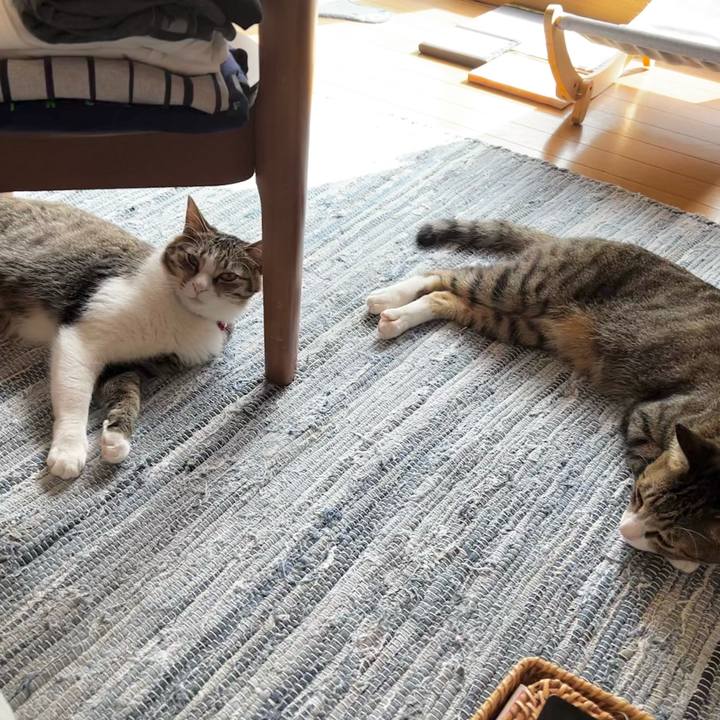 D6642a41 36e4 4c59 a749 2a5273311c84 1754118504304