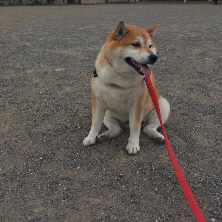 D6644d1a a809 47a6 a0fd c9bb265d4f33 1600385646216