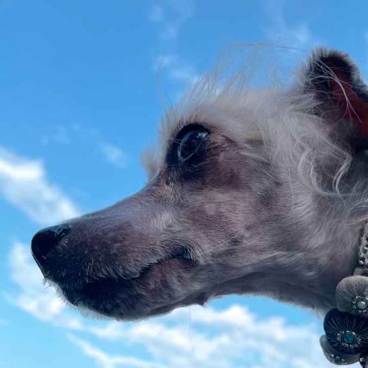 D6645b2b 6d50 4109 b065 40b0db0b4775 1768270506379