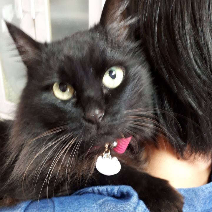 D6645f78 9970 4a50 9156 f7f7232e7a5f 1522109726823