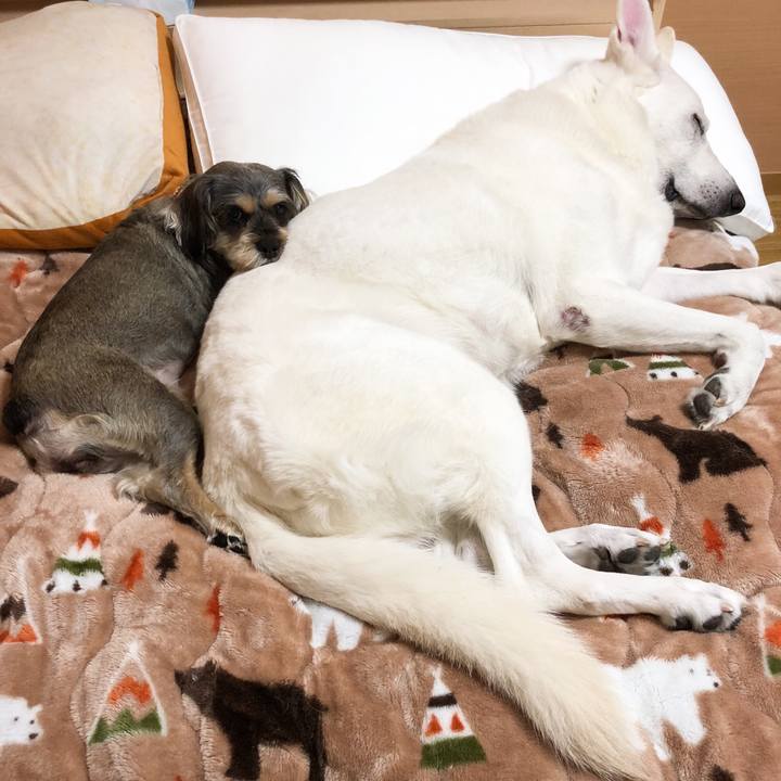 D664d42b 75f3 4408 973a 23b8ae32fb24 1554636239345