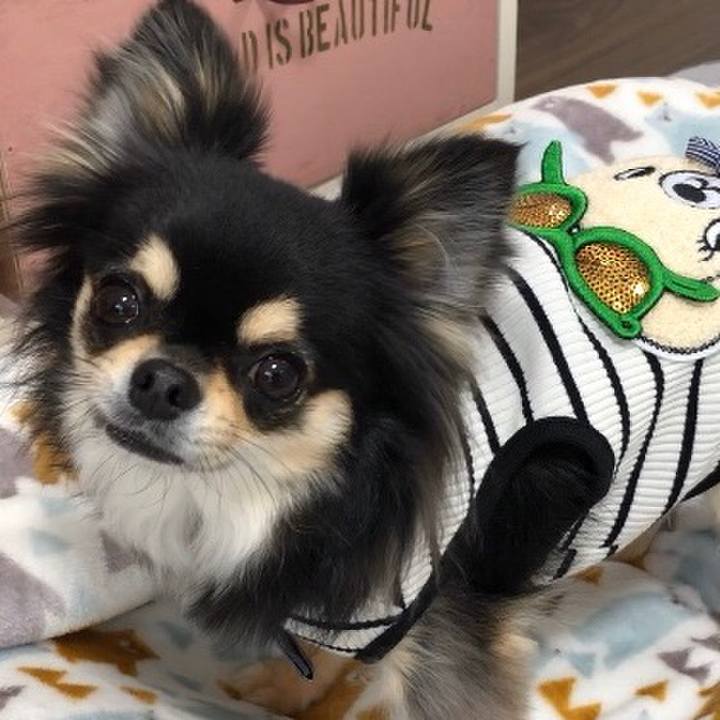 D664db36 0b56 4632 82f1 497a3f5ebb75 1584416764483