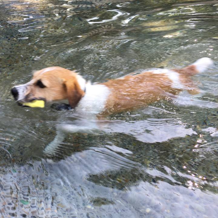 D665091b 247b 460c a950 41a8dbd41d1a 1570023424298