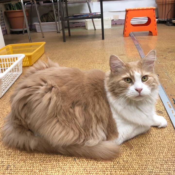 D665145d ea74 4897 934c c56ba573234e 1657239594126