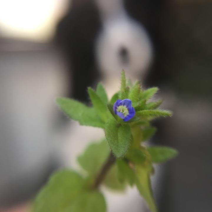 D6651e0e 9e30 417f 994e 7dabaeff5d8e 1583998906360