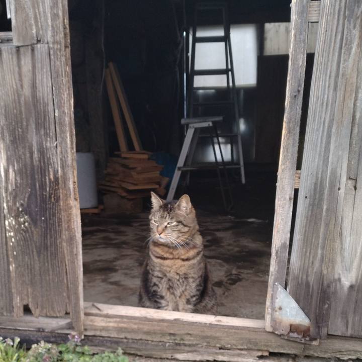 D6652ab4 8193 4685 80e4 6f0930006995 1679611352650