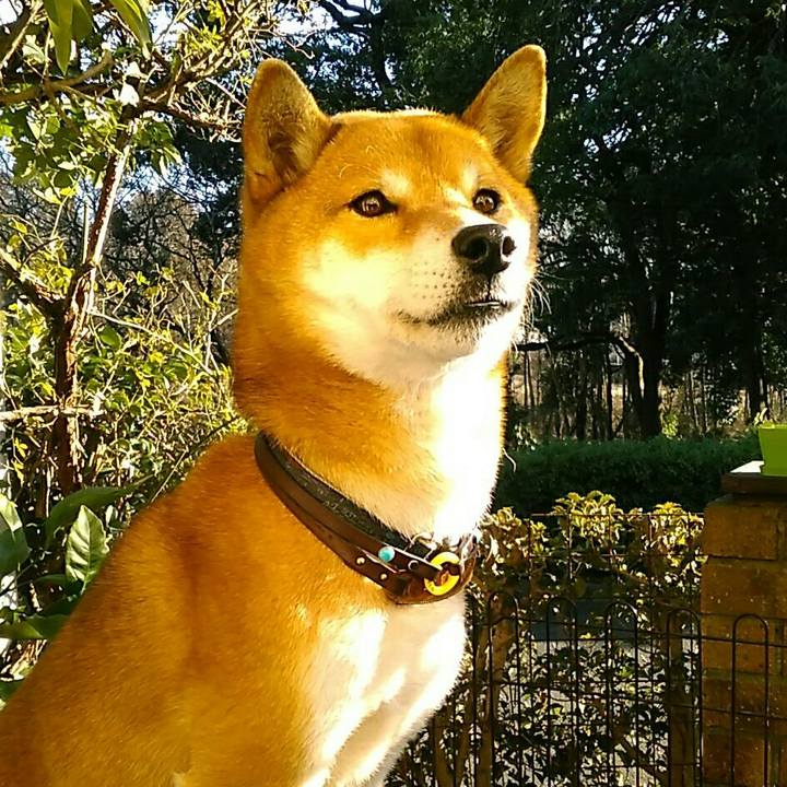 D6653479 f13d 43a1 890c c2c19b638405 1579586427058