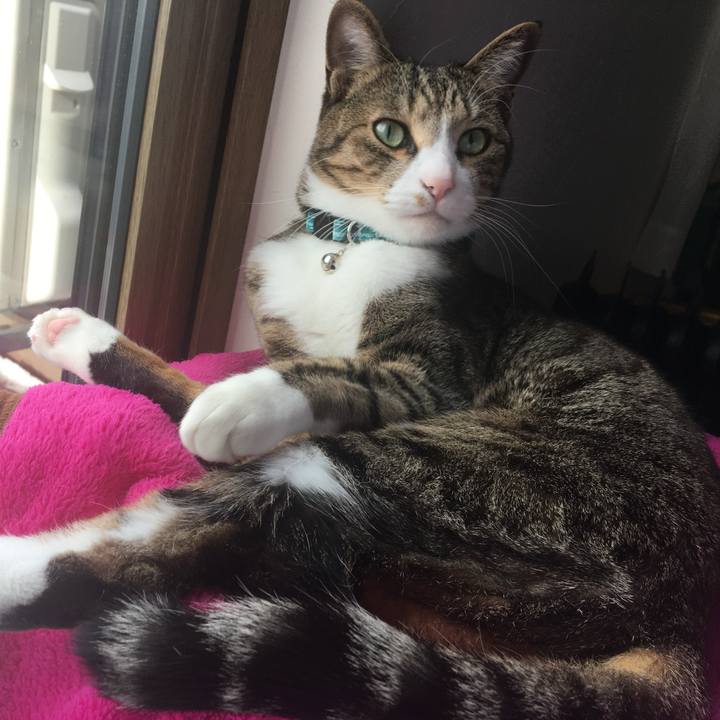 D6653d95 1fe0 49c8 bc45 5d38b183f48b 1708302595122