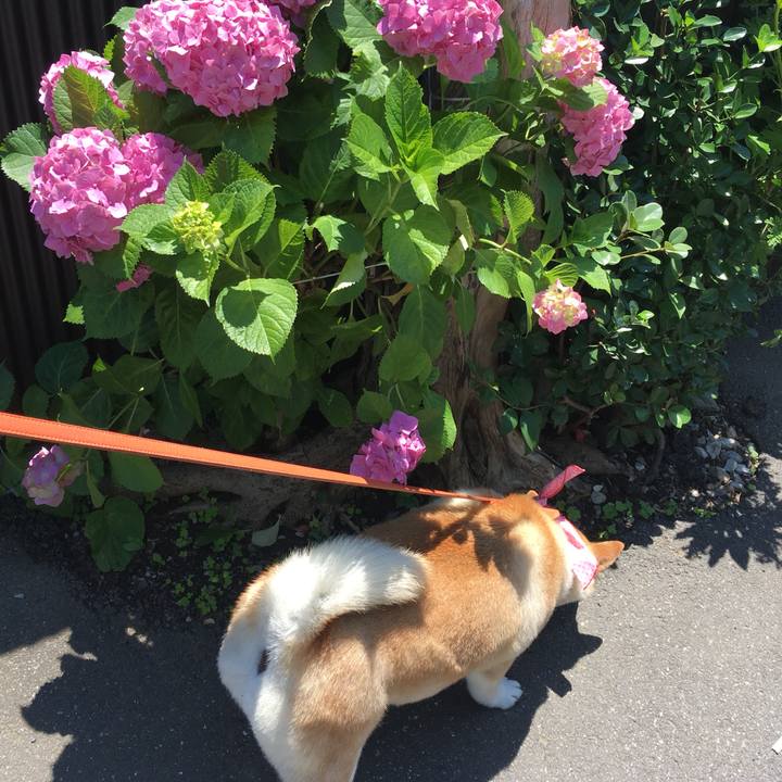 D6656a8b 575c 4362 836c a4615c2fc687 1560395206443