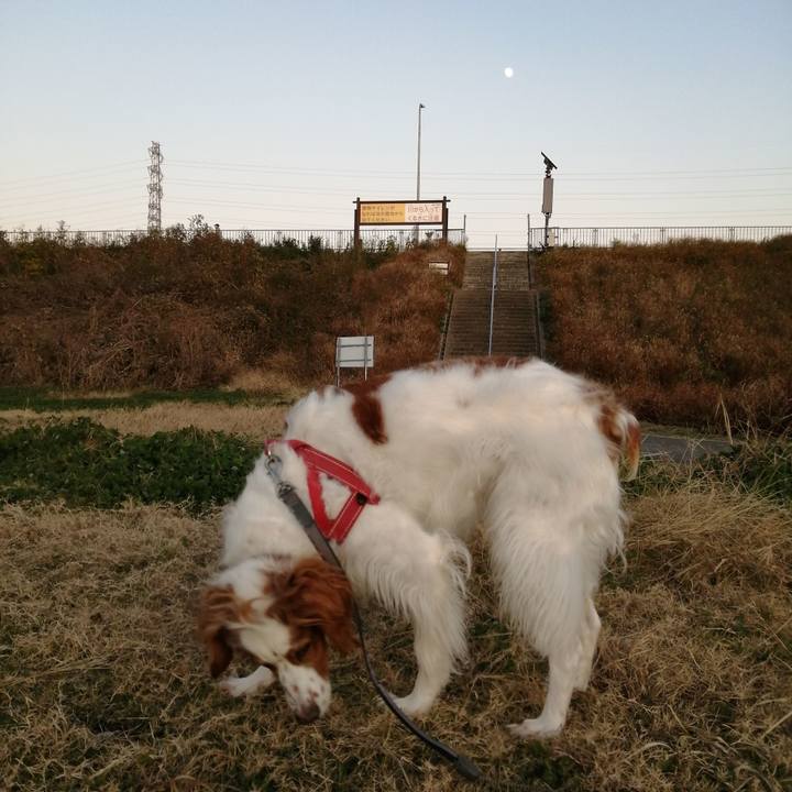 D6658567 f46d 45c7 972f 000af1f23c3a 1575880288430