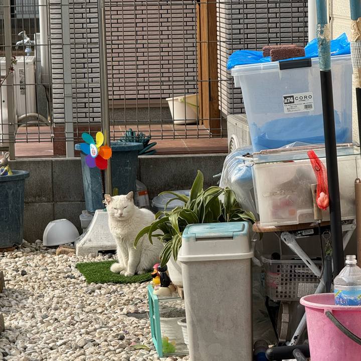 D665b59d f4ef 4fd6 af72 4a950a0dba84 1773369517459