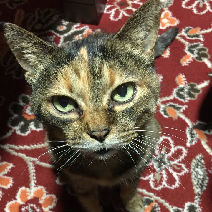 D665f34e ec03 4b3f bd82 693e918b281c 1602770016369