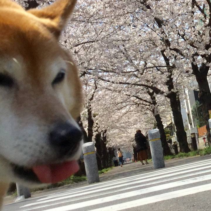 D6660252 94bf 462e 9b39 4670400bd005 1616813995810