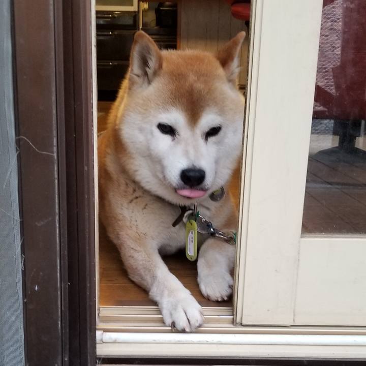 D6660e45 0d4a 4d68 9501 80f3489ee7d4 1656321001438