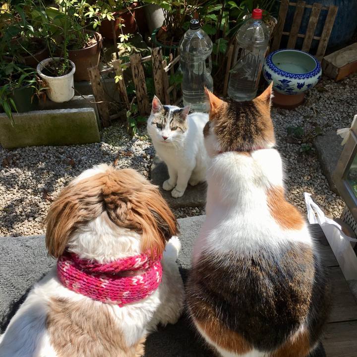 D6661f4f 0f33 4f46 b3f3 ab5c09c1bb42 1521948064989