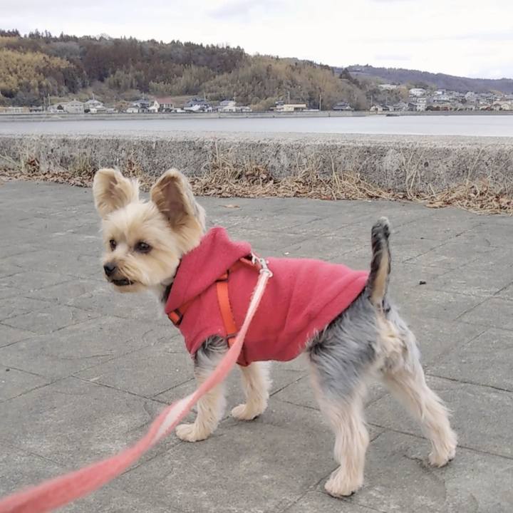 D6662e0b 7074 4048 ba40 2b9357f731d6 1676713047240