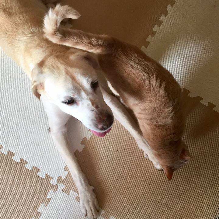 D6663b98 e9f7 4341 bdb0 c46314dee38b 1576064879947