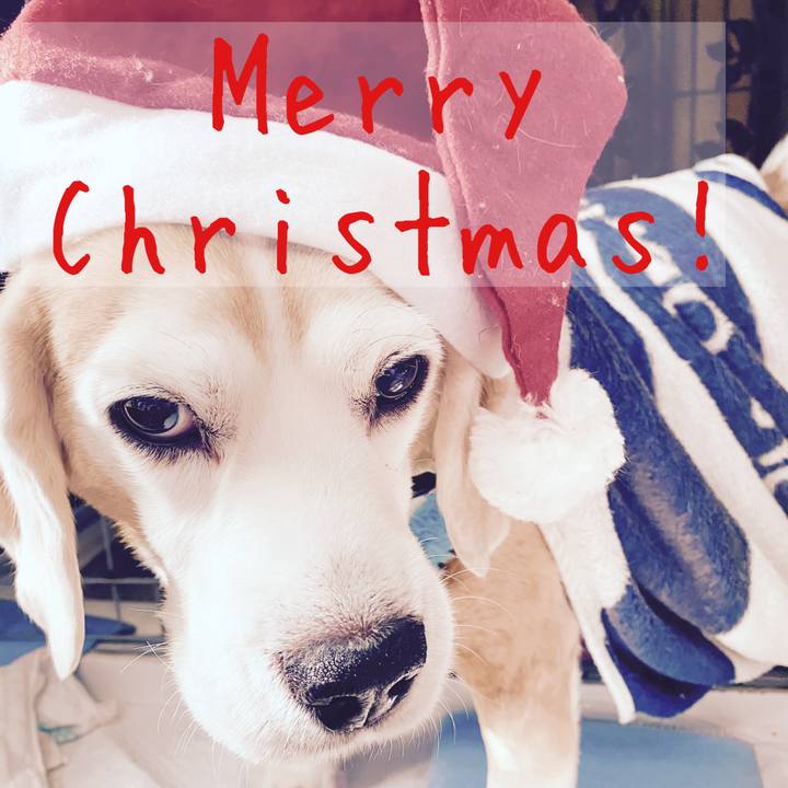 D6664f06 5c82 4e22 bd7c cdf21f2df132 1703377986629