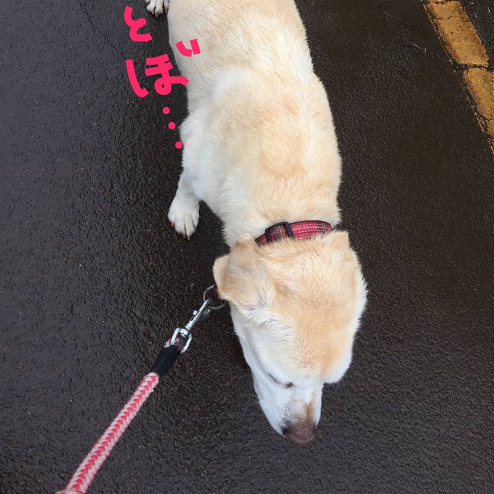 D6665f82 a87f 4c03 9738 71f4459b98a0 1524550555248