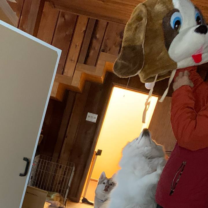 D66694b4 9307 4c51 b339 f5e071124cfe 1645955244334