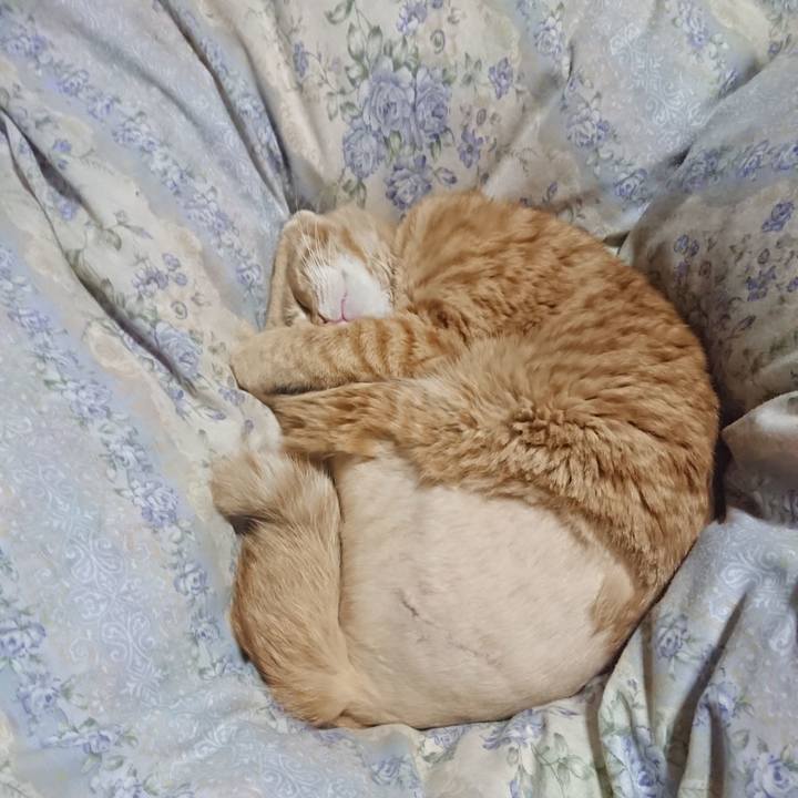 D666f759 d043 494e 9540 7551ecdb9d12 1654520173416