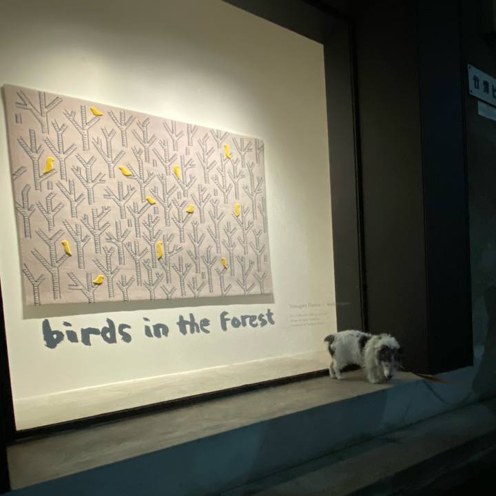 D66772bb 06f4 4a44 9c76 f444fbda69e8 1615721541822