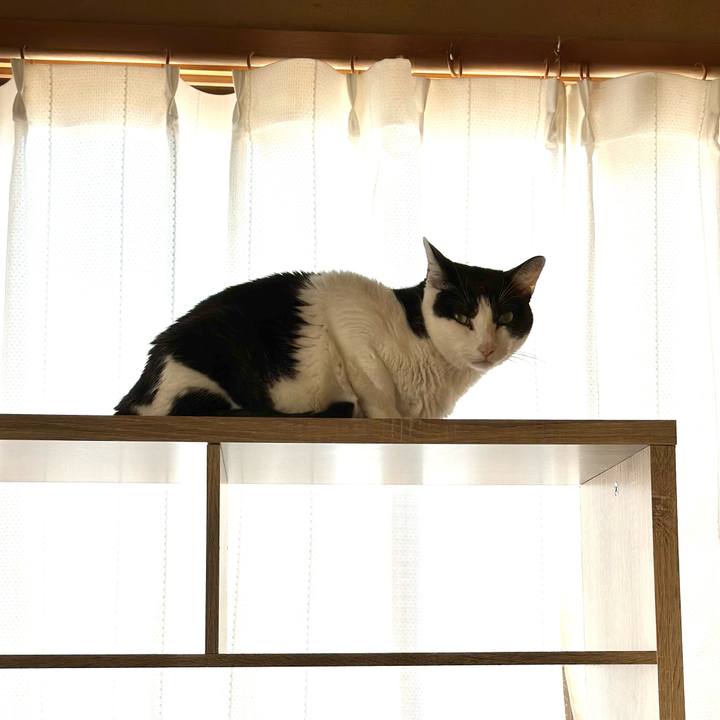 D6678f41 50fa 4115 9463 d12a354b089f 1699753305019