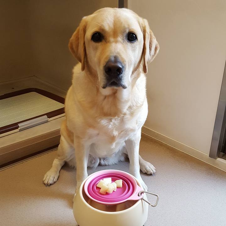 D667d771 141d 4074 aef4 f9c7ef07bcdc 1511486488210