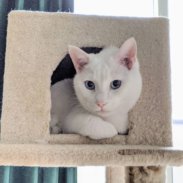 D667d8ef b8f2 42c9 9525 5988cf1fc3a9 1579259110023