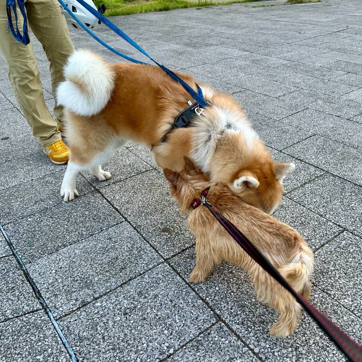 D66826c7 cd59 49b2 8e3e 0a1dda4fd201 1726380038392