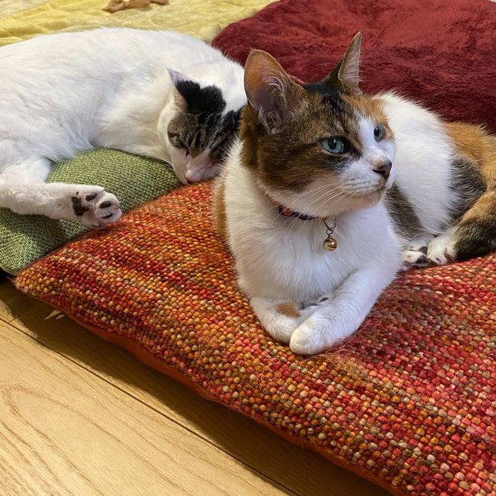 D6685e86 8001 49cd 854e 21fbe6053498 1672051998672