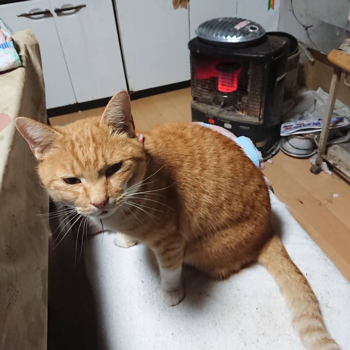 D6687209 017b 4bec ac67 c775e54cb8b2 1604435016751