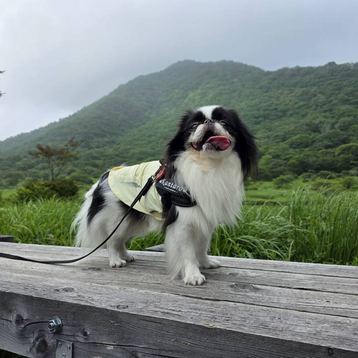 D6688a1c 9c3c 4e81 9f4a e572a2b5a083 1752044011790