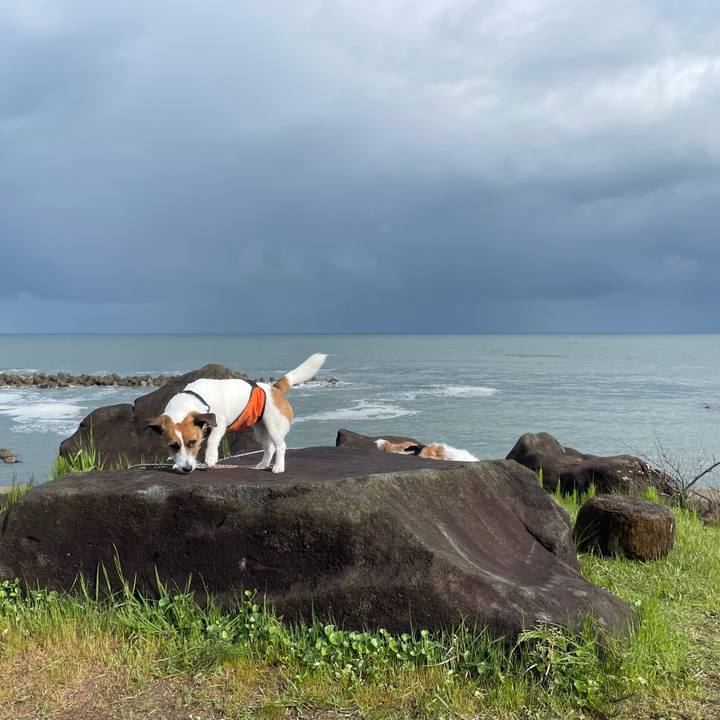 D668f20b 4f4a 4376 96a5 893c9b256745 1715210045128